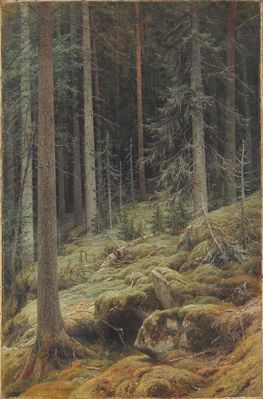 "Дебри", 1881