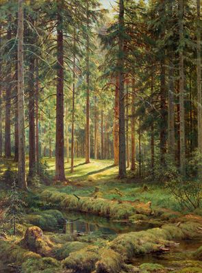 "Хвойный лес. Солнечный день", 1895