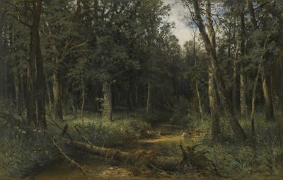 "Темный лес", 1876