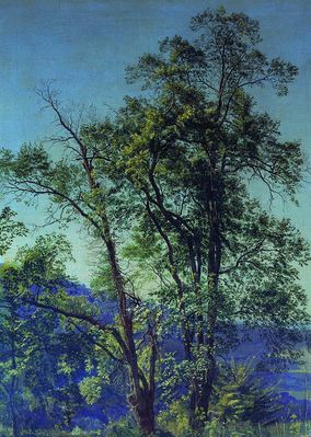 Оливковое дерево. Долина Аричча. 1842