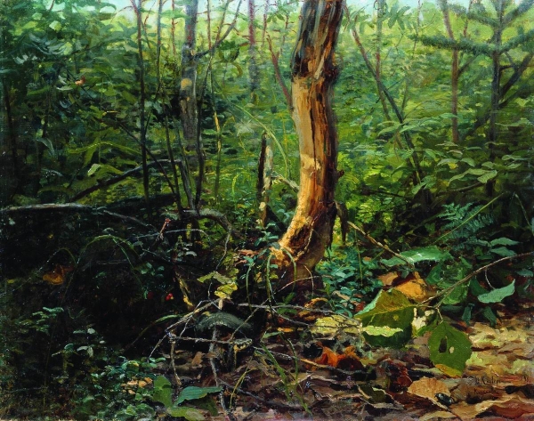 Куоккала. 1898