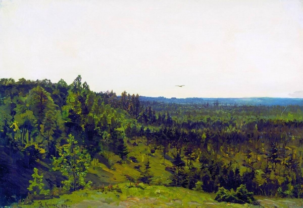 Мелколесье. 1878