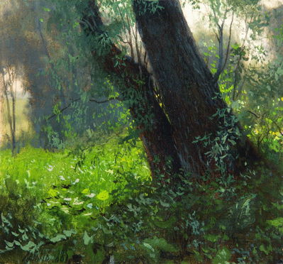Деревья. 1885