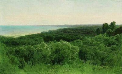 Лесные дали. 1896