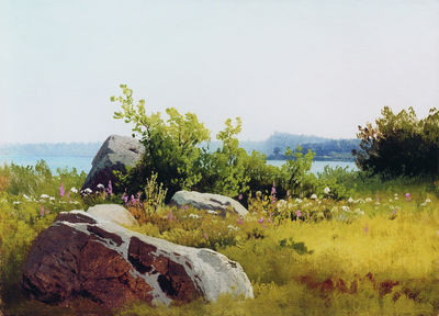 Летние травы. 1890-е