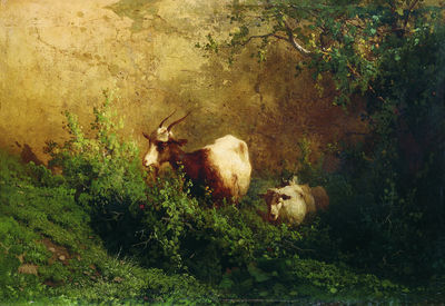 Пейзаж с козами. 1868