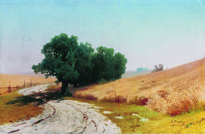 Рожь. 1900