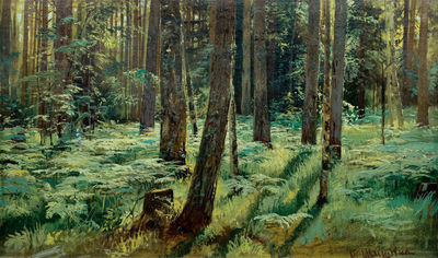 «Папоротники в лесу. Сиверская. Этюд», 1883