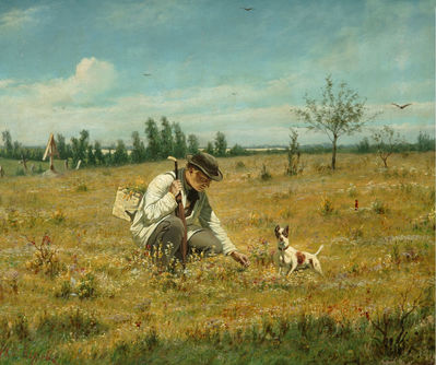 Ботаник. 1874