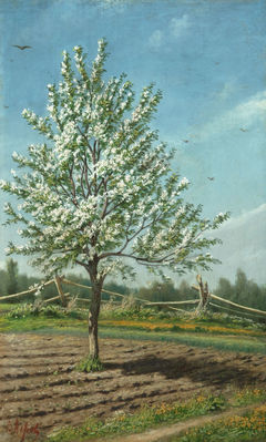 Яблоня в цвету. 1874