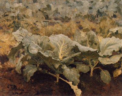 Капуста. 1884