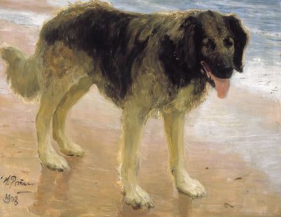 Лучший друг человека (Пес). 1908