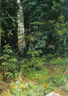 «Береза и рябинка», 1878