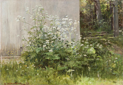 "Цветы у забора", 1800-е