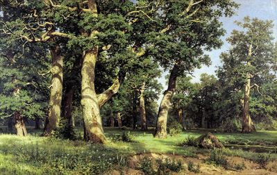 "Дубовая роща", 1887