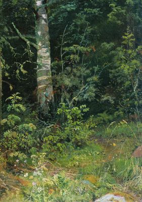 Береза и рябинки. 1878 Этюд