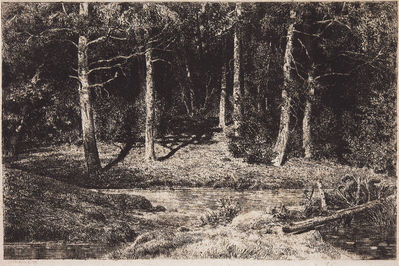 Березняк. 1885