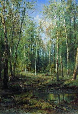 Березовая роща. 1875