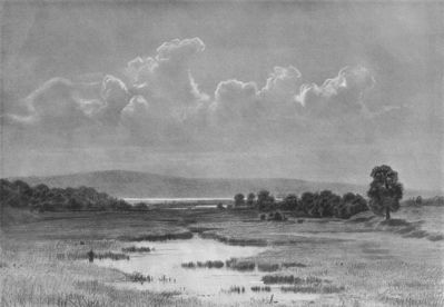 Болото. 1884