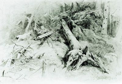 Бурелом. 1867