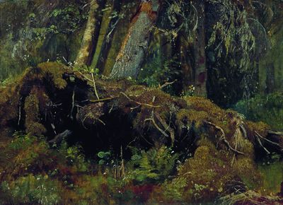 Бурелом. 1880