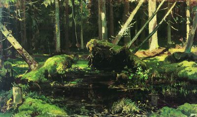 Бурелом. 1886-1887