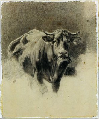 Бычок . 1870-е