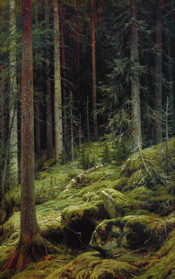 Дебри. 1881