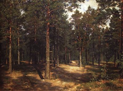 Дорожка среди сосен. 1883