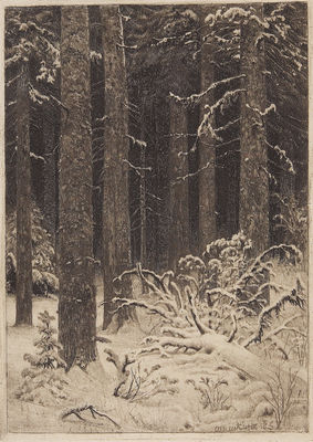 Дремучий лес. 1885
