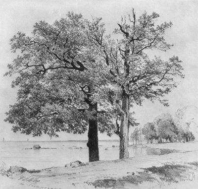 Дубки в Сестрорецке. 1880-е