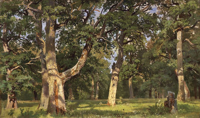 Дубы. 1887 этюд
