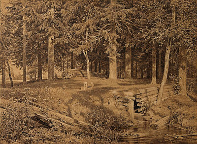 Еловый лес (У ручья). 1890