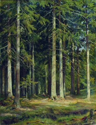Еловый лес. 1891