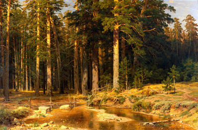 Корабельная роща. 1898