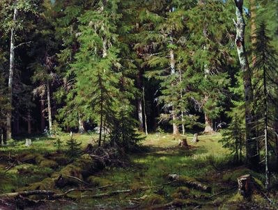 Лес. 1880-е