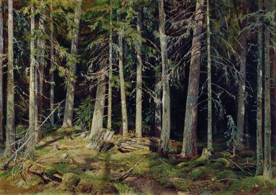 Лес. 1888