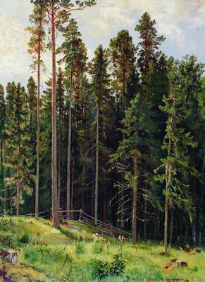 Лес. 1892