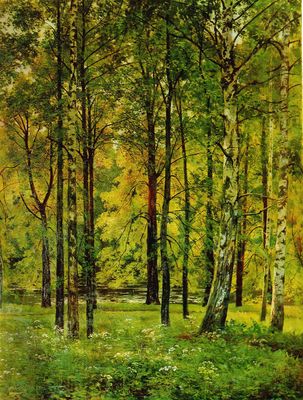 Лес . 1880-е
