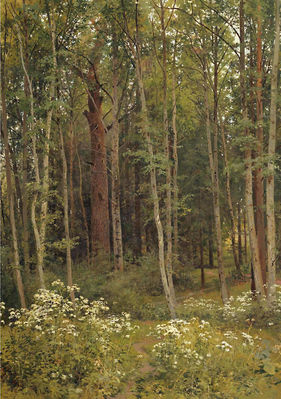 Лесная чаща. 1894