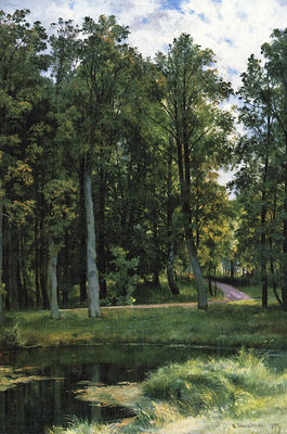Лесная дорога. 1897