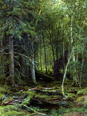 Лесная глушь. 1872
