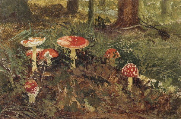 Мухоморы. 1878-1879 Этюд