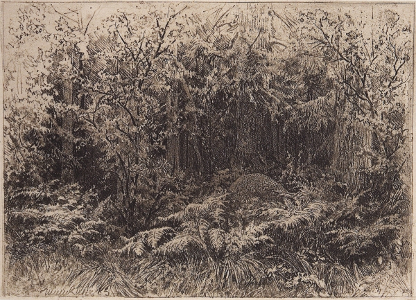 Муравейник. 1885
