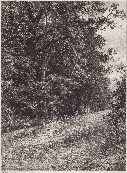 На лесной меже. 1878