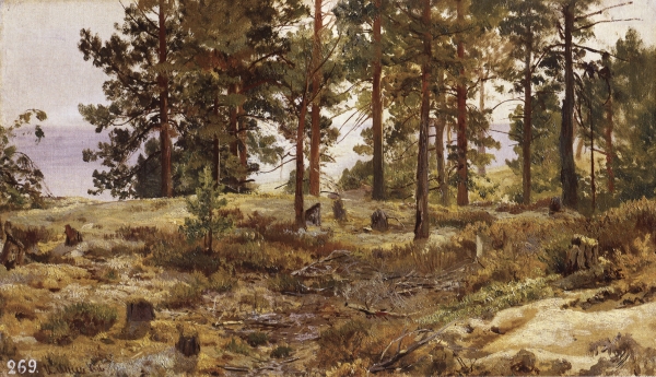 На песчаном грунте. Мери-Хови по Финской железной дороге. 1889 (1890?) Этюд
