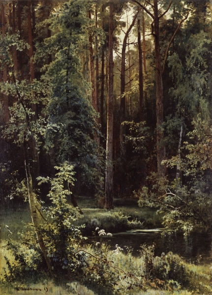 Пейзаж с лесным озером. 1889