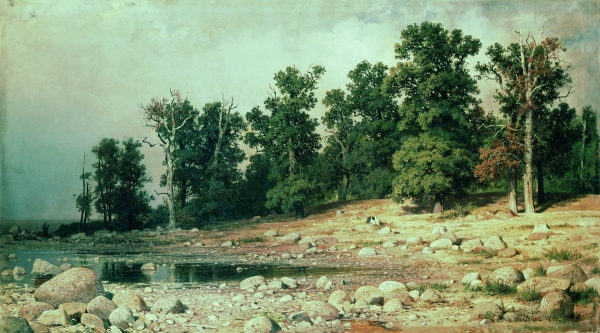 Побережье Петровской рощи в Сестрорецке. 1886