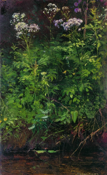 Полевые цветы у воды. 1889-1890 Этюд