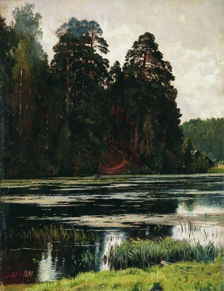 Пруд. 1881